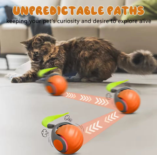 NewSpeedy Tail 2.0 Interactive Cat Toy – Smart Rolling Ball with Fast Tail